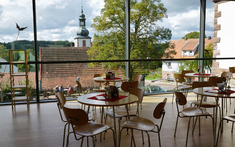 Сыктывкарцы о криках малышей в ресторанах: «Страшно бесят плачущие дети»