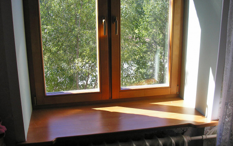 Сыктывкарец: «Хотим заменить окна,  какие прослужат дольше?»