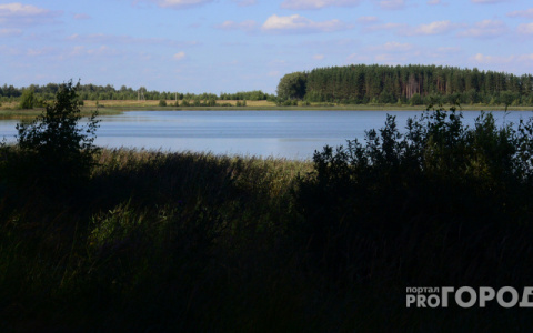 Погода в Сыктывкаре на 1 августа: прохладно и облачно