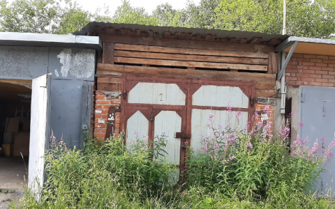 В Сыктывкаре кошку бросили умирать голодной смертью в запертом гараже (фото, видео)