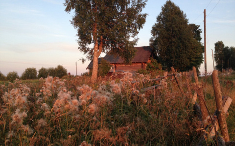 Синоптики рассказали, ждать ли жителям Коми солнце в эти выходные