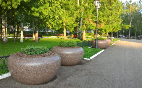 В гигантских «мисках» на площади Сыктывкара появились необычные растения (фото)