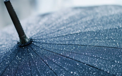 Погода в Сыктывкаре на 4 августа: льет, как из ведра