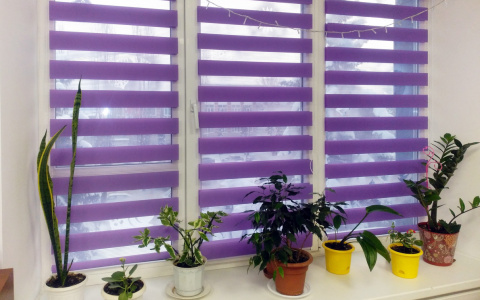 Рулонные шторы освободят ваш подоконник