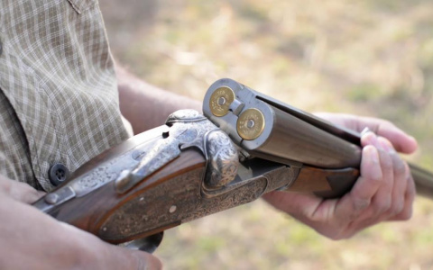 «Это был не волк»: в охотобществе рассказали, кто на самом деле загрыз девочку в Коми