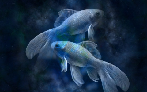 Гороскоп на 6 августа: Близнецов ждет любовный кризис, а Рыб - неожиданные подробности