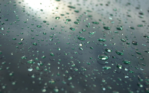 Погода в Сыктывкаре на 7 августа: мощный холодный ветер и бесконечный дождь