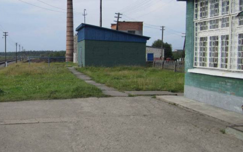 В селе Коми, где зверь растерзал девочку, введут комендантский час