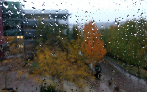 Погода в Сыктывкаре 10 августа: снова дождь, снова ветер