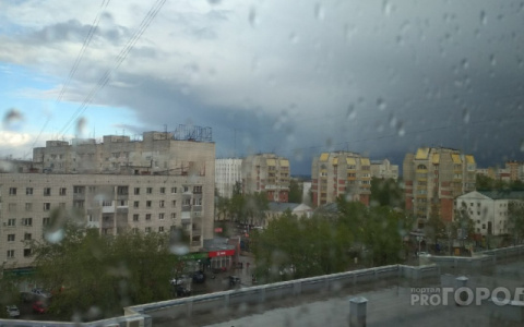 Погода в Сыктывкаре на 12 августа: северное лето продолжается