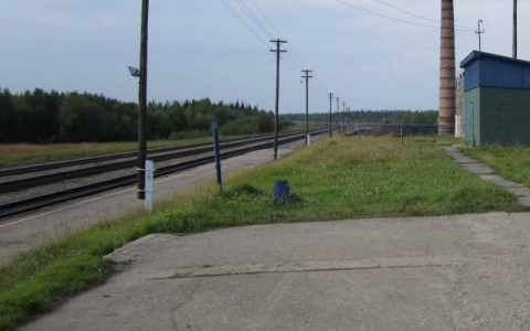 Родителей девочки, которую растерзал зверь в Коми, отправят в санаторий