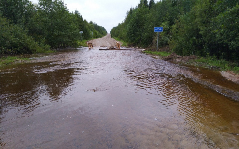 В одном из районов Коми река оставила людей без дороги и моста (фото)