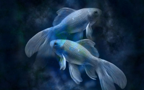 Гороскоп на 15 августа: Рыбам пора начать важное дело, а Овнам - не быть эгоистами