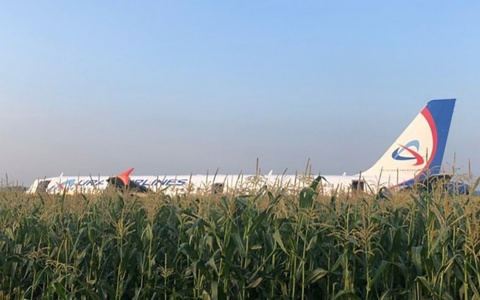 В России пассажирский самолет без двигателей и шасси сел на кукурузное поле (фото, видео)