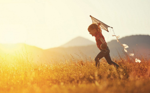 Tele2 и фонд «Навстречу переменам» определили  полуфиналистов конкурса социальных предпринимателей