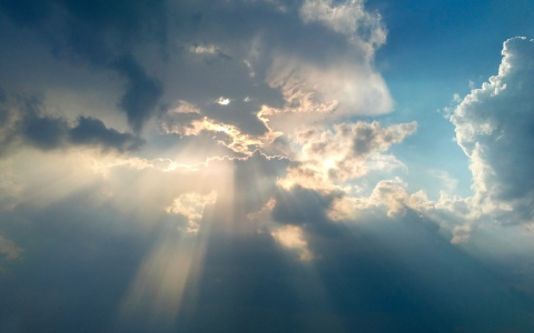 Погода в Сыктывкаре 17 августа: солнце и легкий ветерок