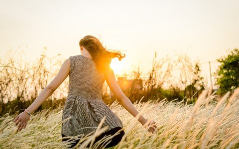 Погода в Сыктывкаре на 18 августа: будет по-летнему тепло и даже без дождя