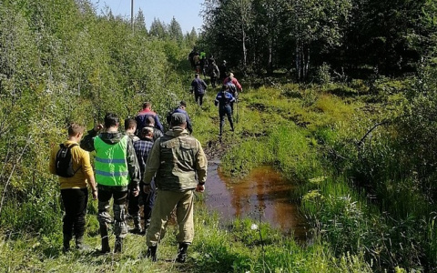 В Коми всем селом разыскивают 86-летнюю бабушку, которая ушла в лес