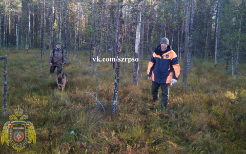 В Коми пенсионер пошел за грибами и четыре дня жил в лесу