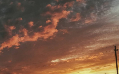 Погода в Сыктывкаре 24 августа: теплый и солнечный день, но дождливый и холодный вечер