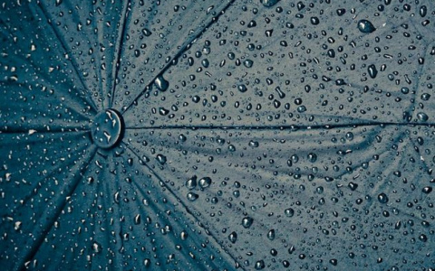 Погода в Сыктывкаре на 25 августа: похолодание, дождь и северный ветер