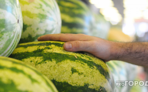 Выяснилось, кому и когда может навредить арбуз