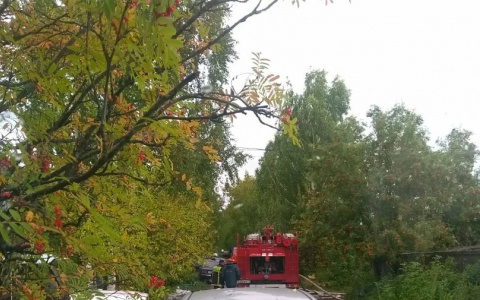 В дачном поселке под Сыктывкаром вспыхнул пожар, пострадал человек (видео)