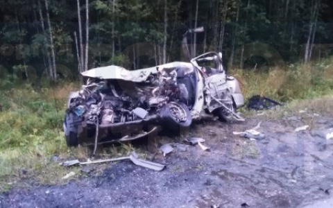 В Коми на трассе многотонная фура смяла легковушку: один человек погиб (фото)