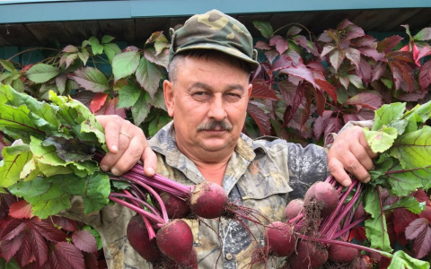 В конкурсе «Моя дача» участвуют любители дизайна и бани