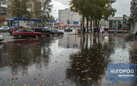Синоптики рассказали, будет ли в Сыктывкаре тепло в начале сентября