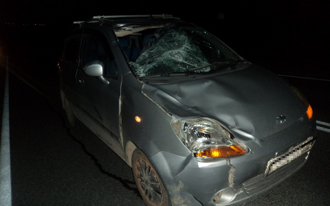 Житель Коми вышел на дорогу посреди ночи и оказался в реанимации