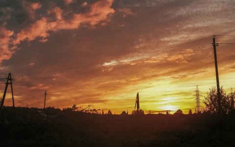 Погода в Сыктывкаре на 29 августа: ледяное утро и северный ветер