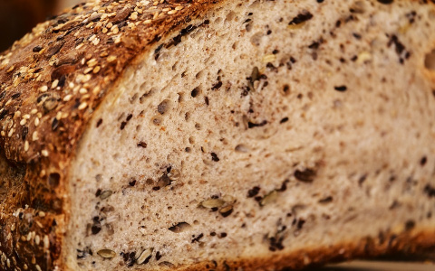 «Смертельно опасен»: ученые рассказали, почему нельзя есть хлеб с плесенью