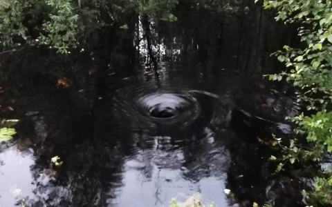 Фото дня от сыктывкарца: загадочная водяная воронка в подземный мир