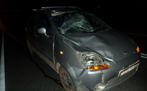 Мужчина, которого сбили ночью посреди дороги в Коми, скончался