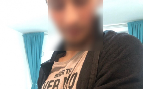 Зоозащитники из Питера ищут жителя Коми, который похищает котят