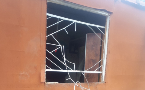 В Коми медведь разорвал железные прутья в дачном доме и разорил холодильник (фото)