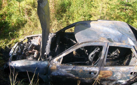 В Коми «Опель» улетел в кювет и загорелся