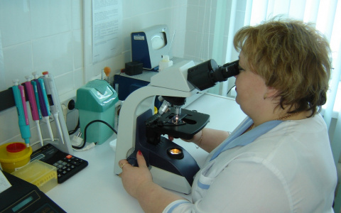 Как пройти медицинское обследование и сдать анализы без очереди