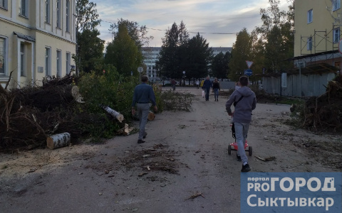 Выяснилось, зачем на одной из улиц Сыктывкара массово срубили деревья