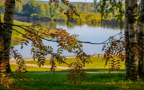 Фото дня: чудесное «бабье лето» на набережной Сыктывкара