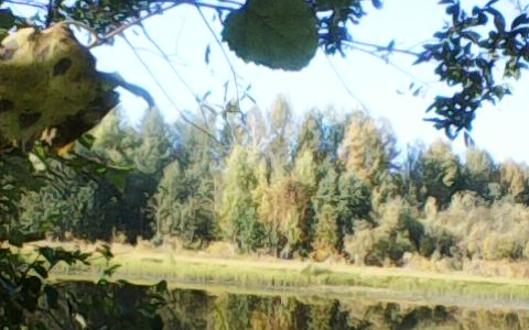 Фото дня в Сыктывкаре: тихая река и увядающий осенний лес