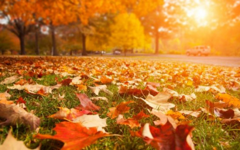 Погода в Сыктывкаре на 10 сентября: тепло и иногда солнечно