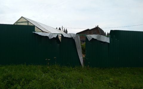 В Коми медведи разгромили металлический забор (фото)