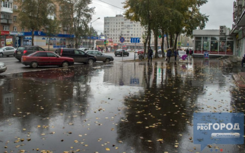 Погода в Сыктывкаре на 15 сентября: умеренный дождь и порывистый ветер