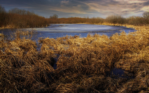 Синоптики рассказали, какой будет третья неделя осени в Коми