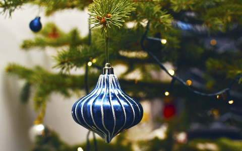 В селе под Сыктывкаром собирают деньги на новогоднюю елку