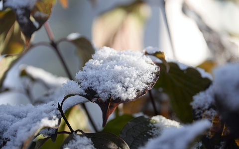 Погода в Сыктывкаре 21 сентября: немного солнца и первый снег