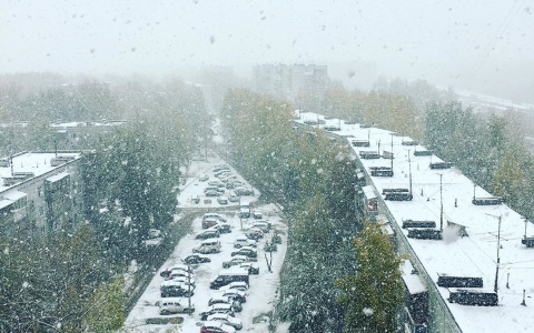 Первый снег в Сыктывкаре: подборка лучших фото из Instagram