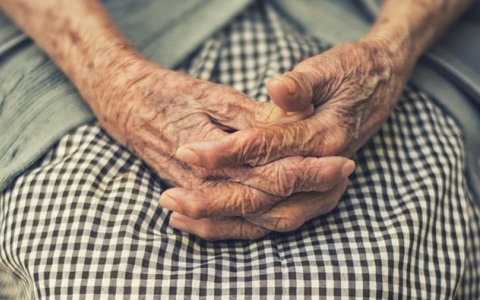 «Это не конец»: как найти современную работу сыктывкарским пенсионерам